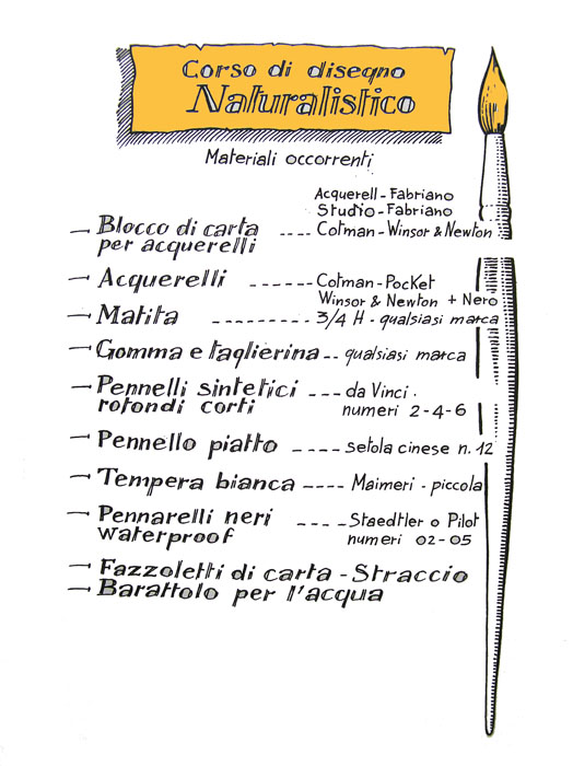 Disegno naturalistico:  1 lezione